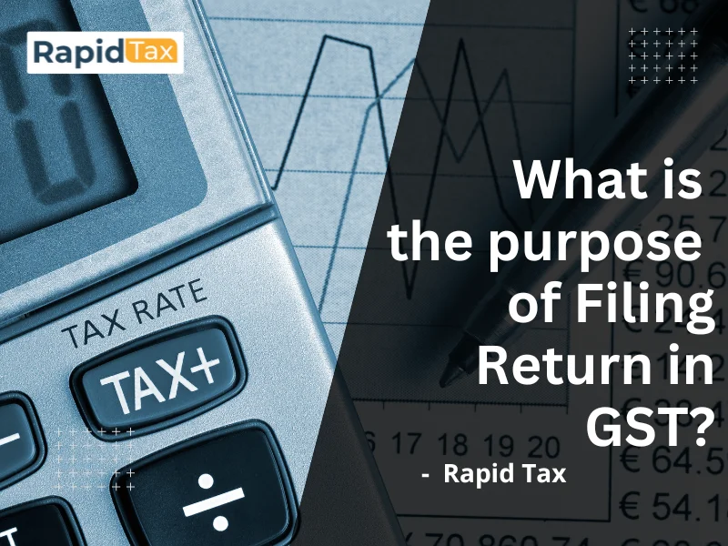  Who is exempted from GST Return?
 